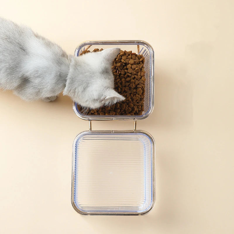 Transparent Raised Double Pet Bowl with Golden Stand