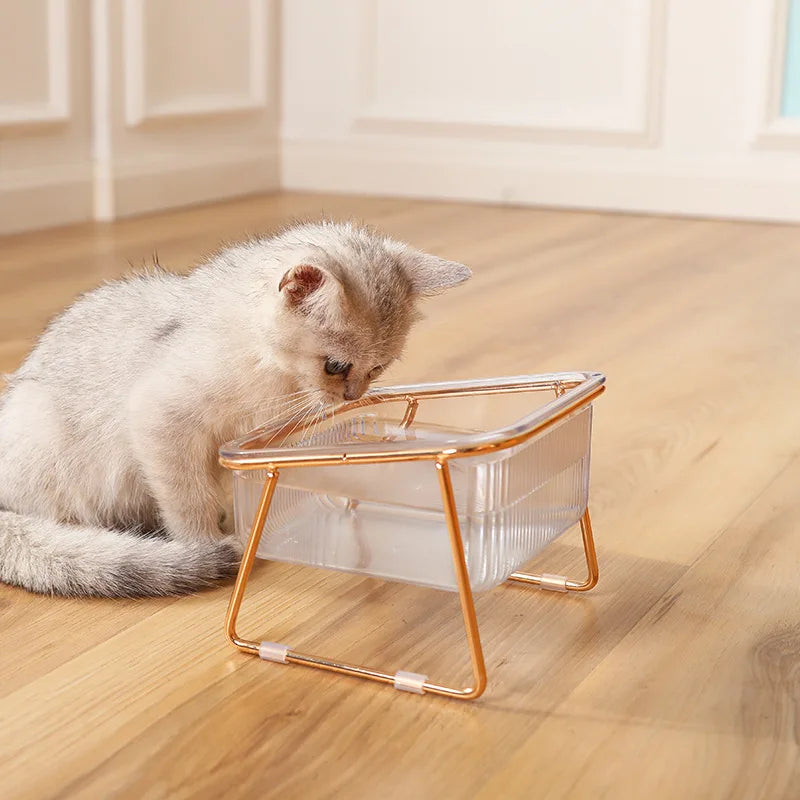 Transparent Raised Double Pet Bowl with Golden Stand