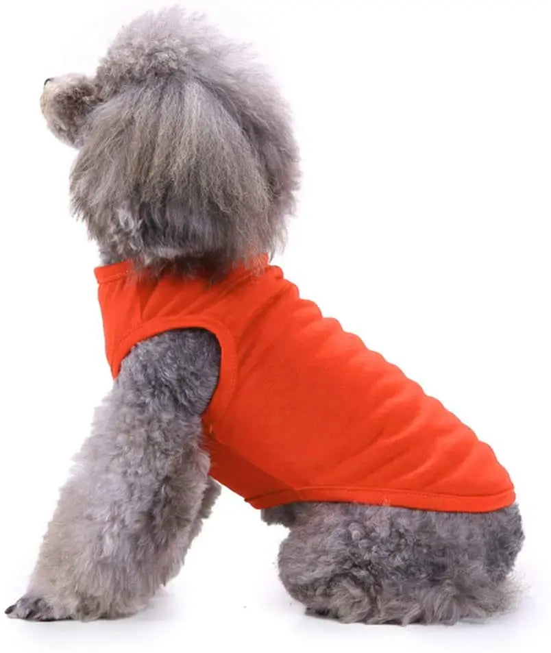 Dog T-Shirt Summer Apparel – Soft Blank Shirt for Extra Small to Extra Large Dogs (XS–XL)
