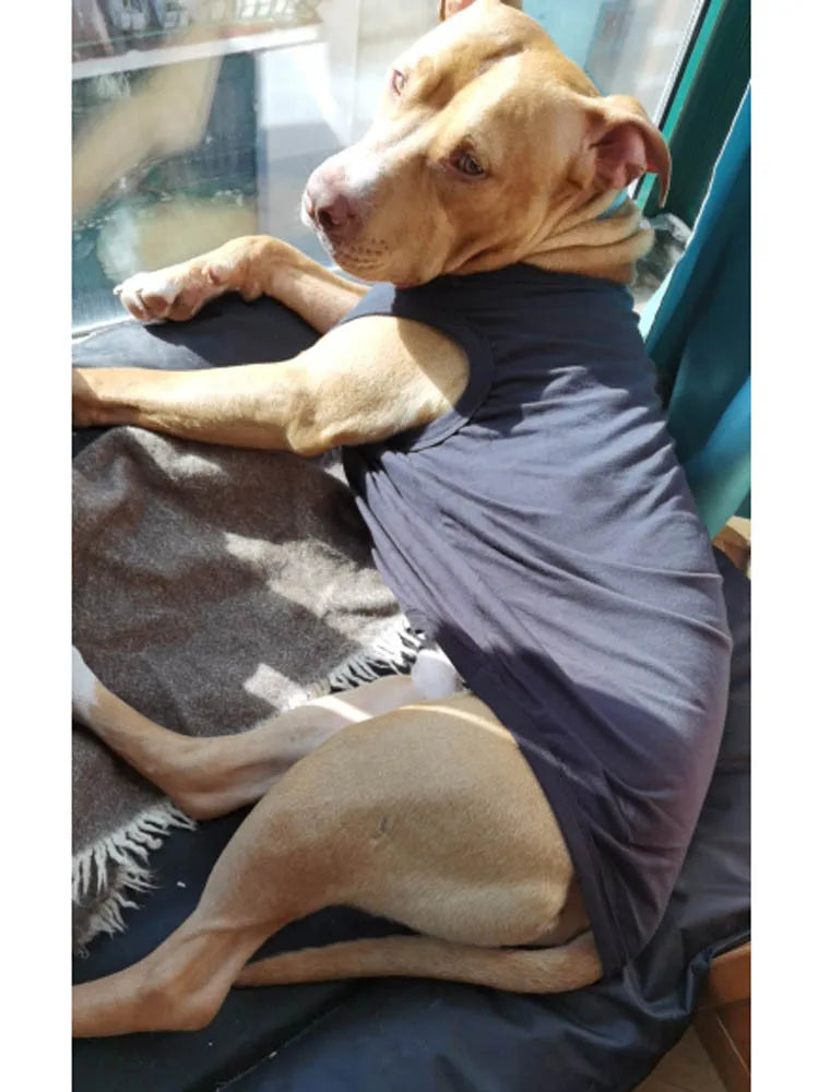 Dog T-Shirt Summer Apparel – Soft Blank Shirt for Extra Small to Extra Large Dogs (XS–XL)