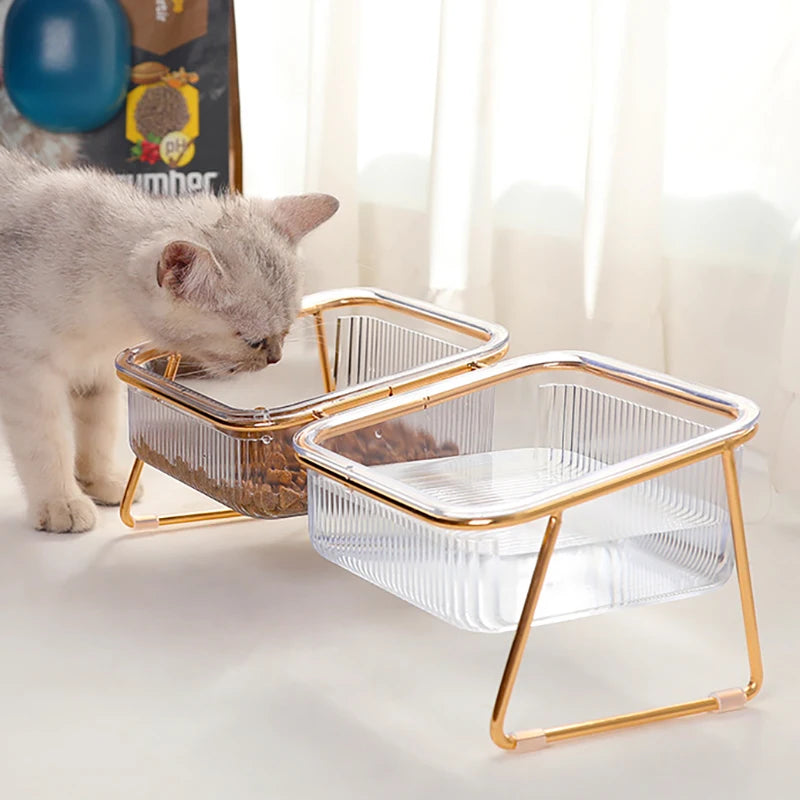Transparent Raised Double Pet Bowl with Golden Stand