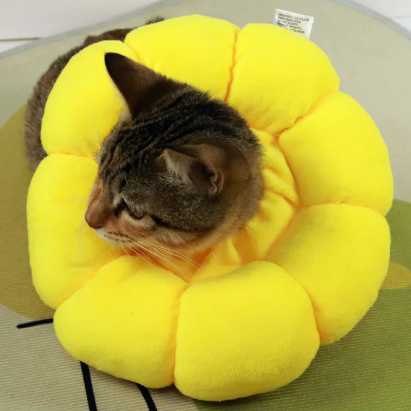 Sunflower Pet Recovery Collar Soft Anti Lick Cat Collar