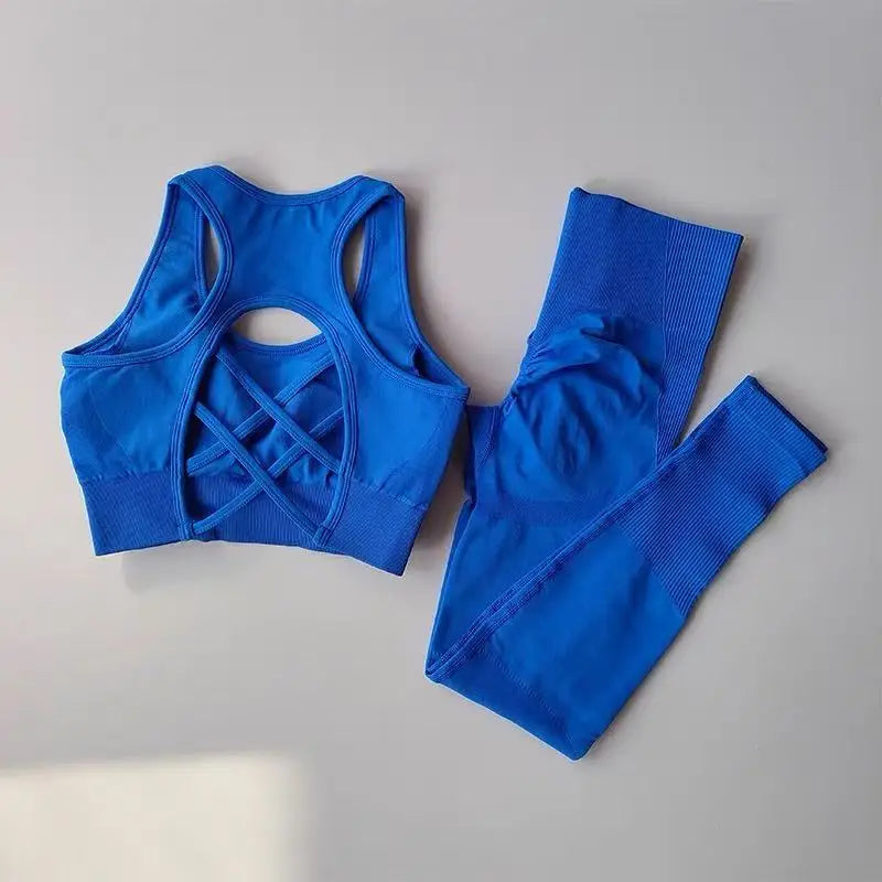 Women Sports Bra Set Tank Top Leggings Yoga Fitness Outfit Shockproof Gym Set