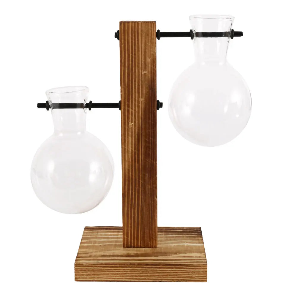 Glass Bulb Planter with Wooden Stand Hydroponic Desktop Vase Home Decor