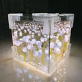 DIY Tulip Flower Night Light Kit for Girlfriend Gift