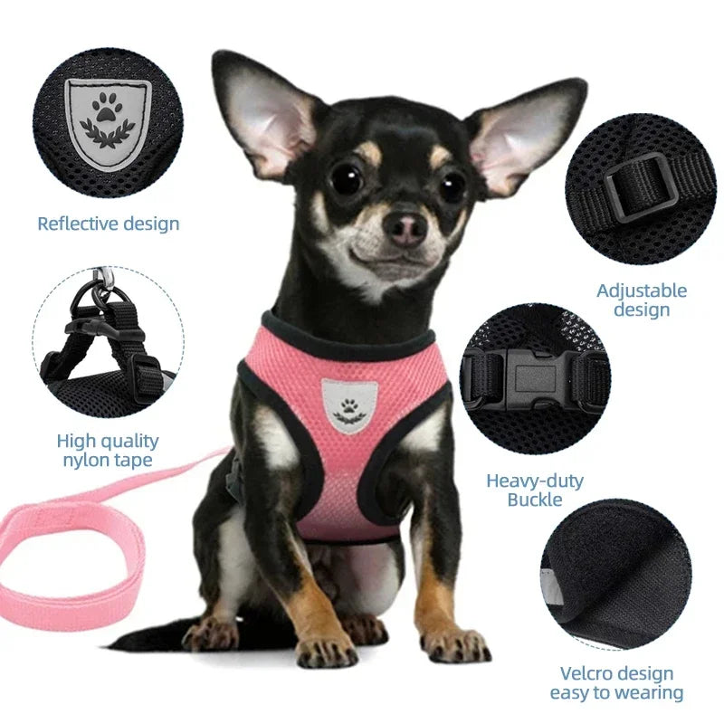 Cat Harness & Leash Set – Escape Proof Vest Harness for Cats & Small Dogs