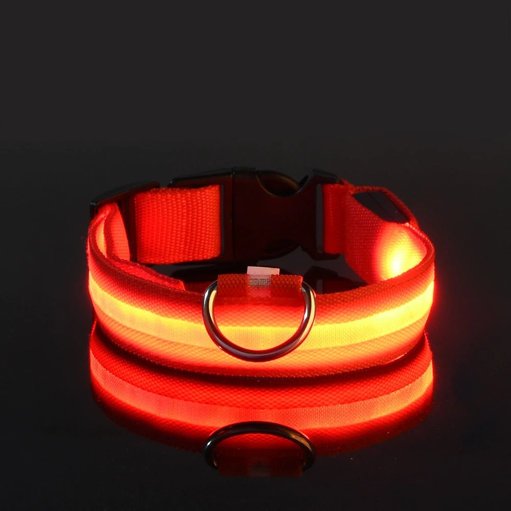 LED Dog Collar – Glow in the Dark Safety Collar for Night Walking, USB Rechargeable