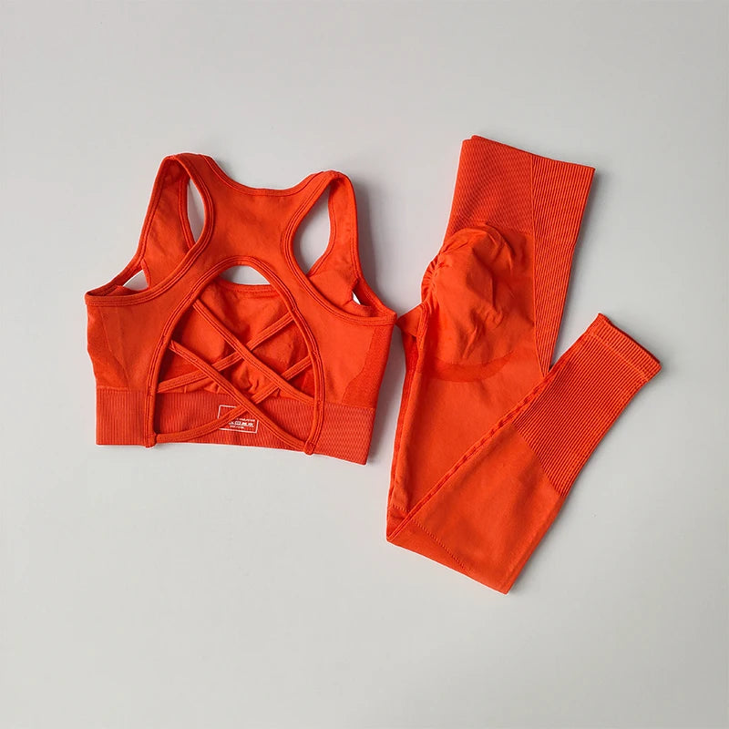 Women Sports Bra Set Fitness Tank Top Leggings Yoga Workout Set Shockproof