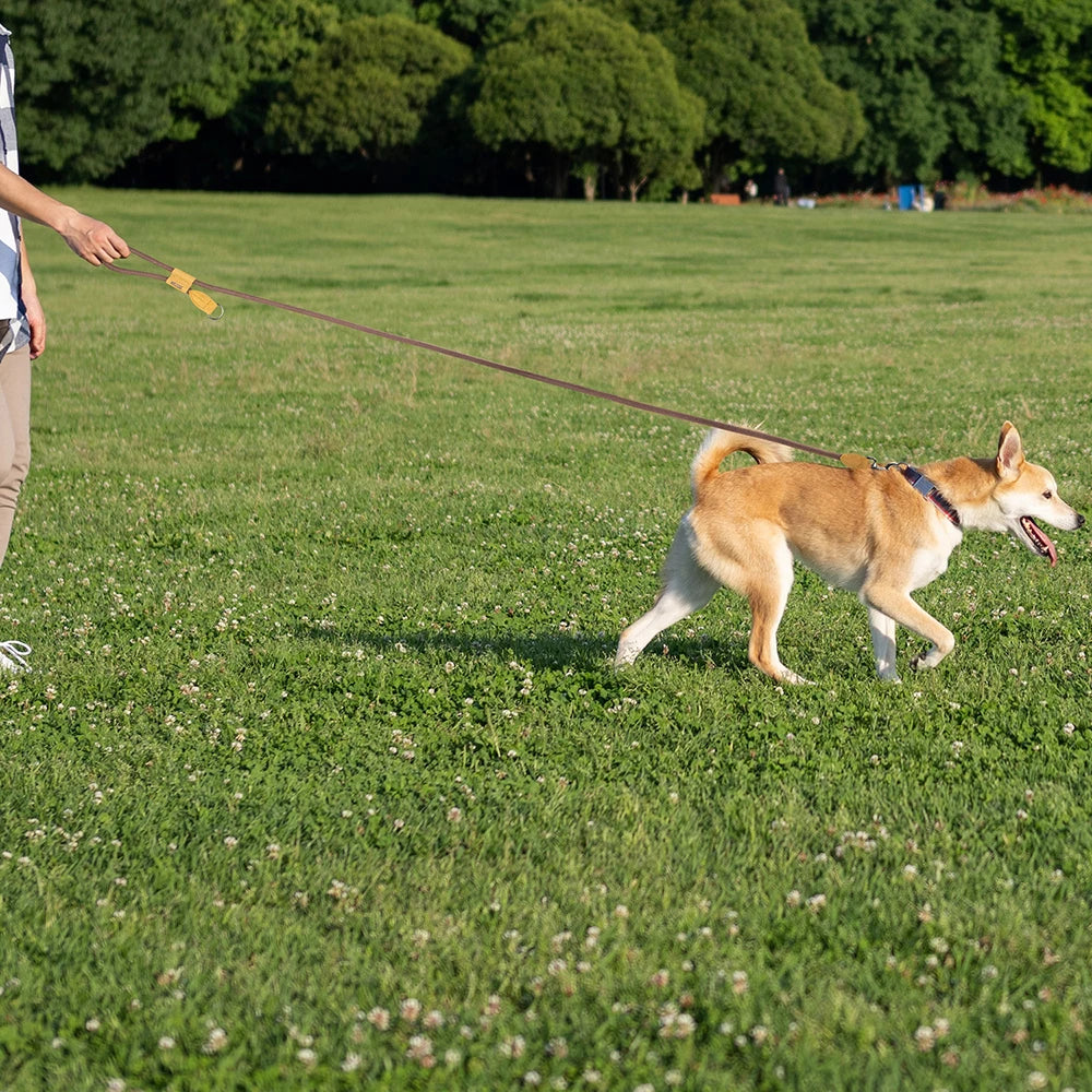 Hands Free Dog Leash 1.8M Adjustable Waist Leash for Running Walking