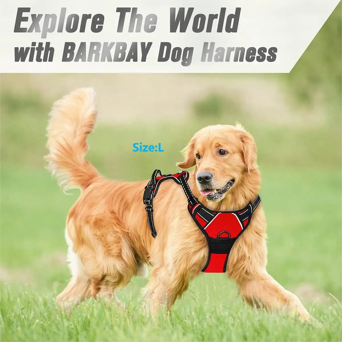 Reflective No-Pull Dog Harness – Adjustable Walking Harness with Control Handle