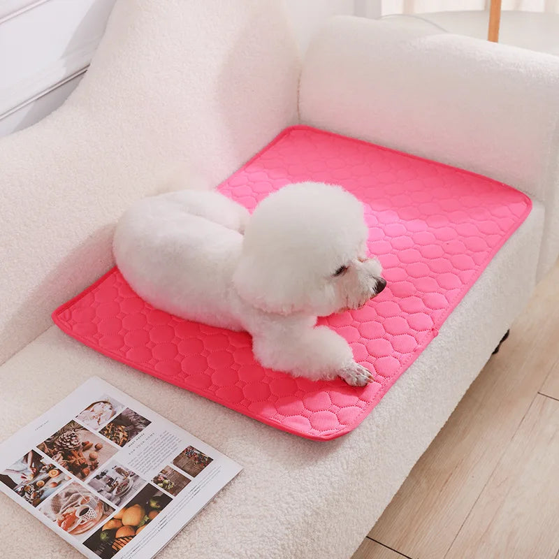 Reusable Dog Pee Pad Washable Absorbent Puppy Training Mat