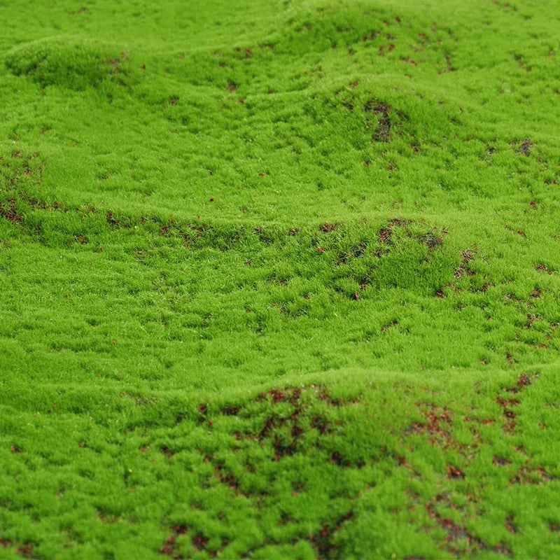 Artificial Grass Rug 50x50cm Fake Moss Turf Mat Garden Wedding Decor Carpet