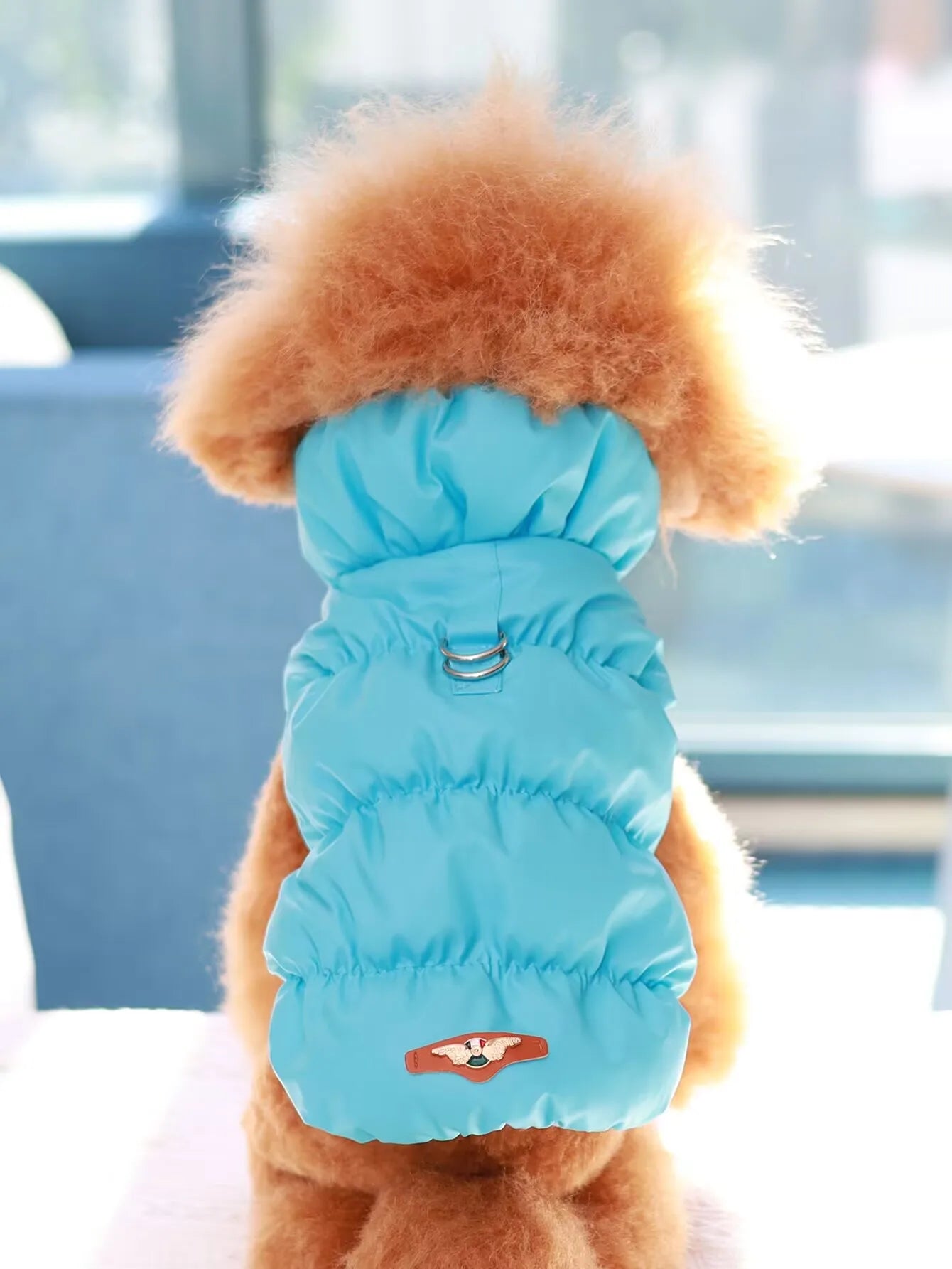 Warm Winter Dog Jacket for Small Medium Dogs