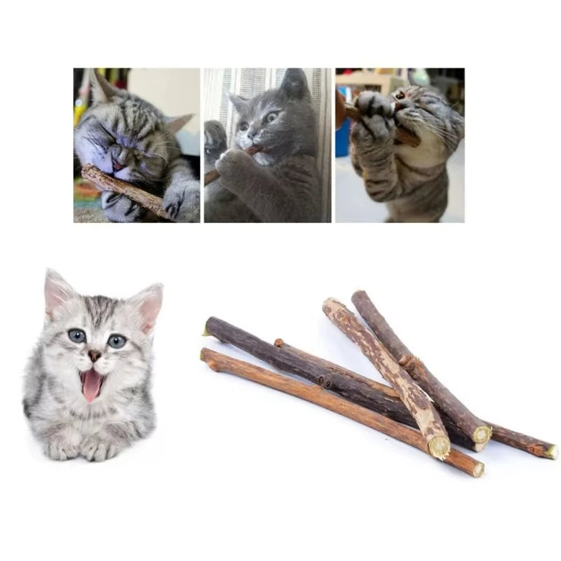 Catnip Chew Sticks 20pcs Natural Cat Toys for Teeth Cleaning
