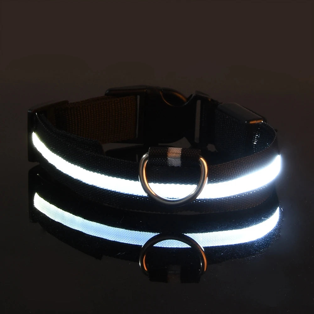 LED Dog Collar – Glow in the Dark Safety Collar for Night Walking, USB Rechargeable