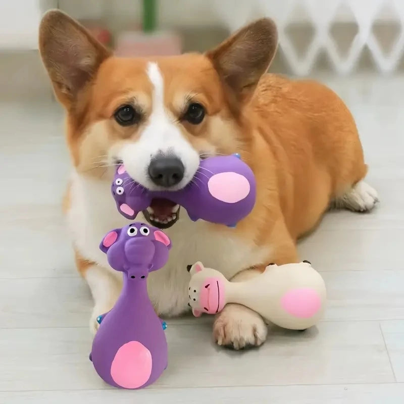 Squeaky Rubber Chew Toy for Small and Medium Dogs