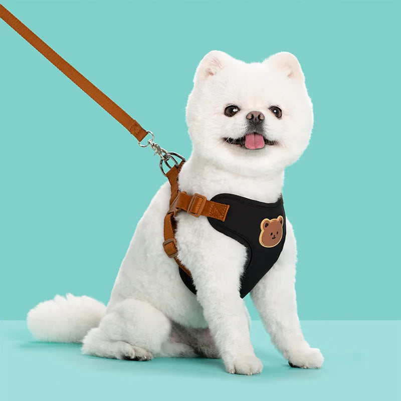 Breathable Dog Harness Leash Set for Small Medium Dogs and Cats