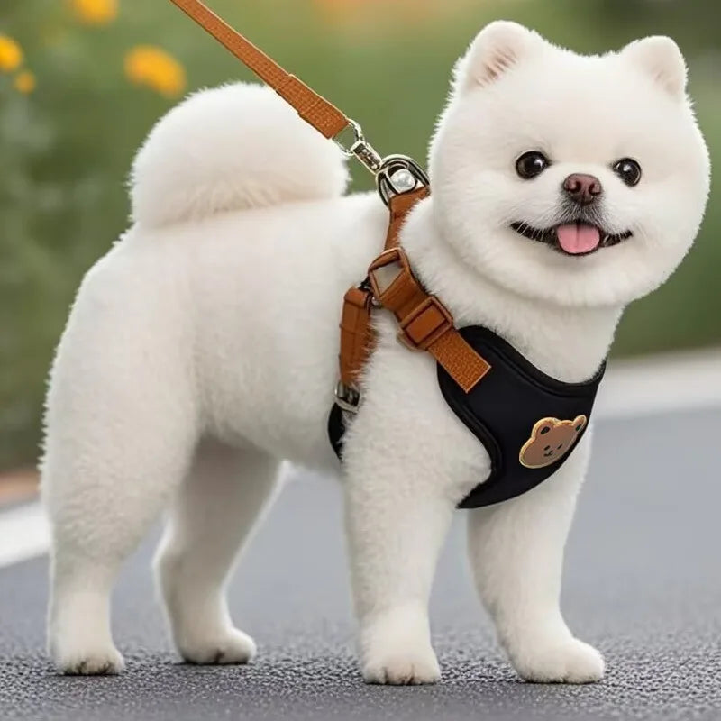 Breathable Dog Harness Leash Set for Small Medium Dogs and Cats