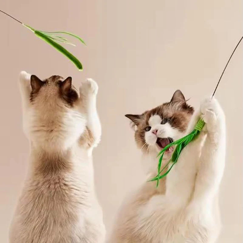 Flexible Wire Feather Cat Teaser Wand Toy