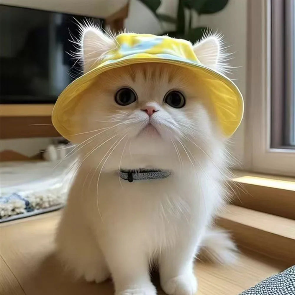 Cute Cat Sun Hat with Ear Holes Breathable UV Protection Fisherman Cap for Cats