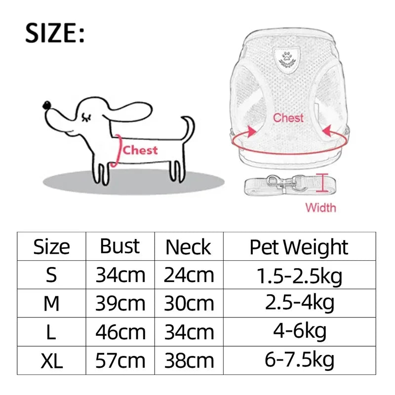 Cat Harness & Leash Set – Escape Proof Vest Harness for Cats & Small Dogs
