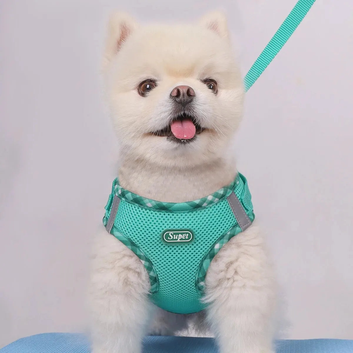 Adjustable No Pull Dog Harness for Small Medium Dogs