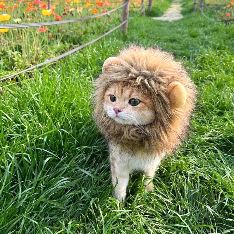 Lion Mane Pet Hat for Cats Dogs Winter Costume Accessory