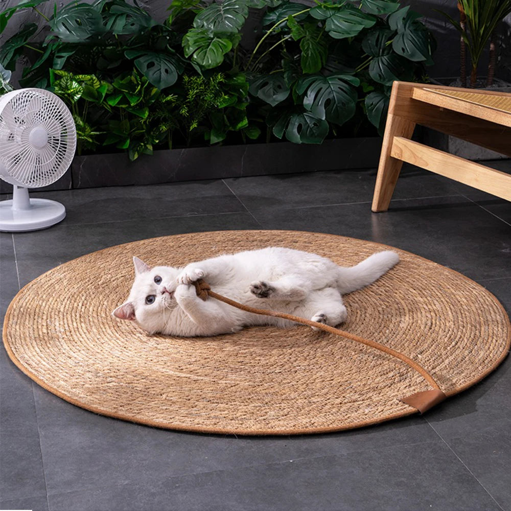 Cat Scratcher Mat Board Furniture Protector Nail Sharpening Scratch Pad
