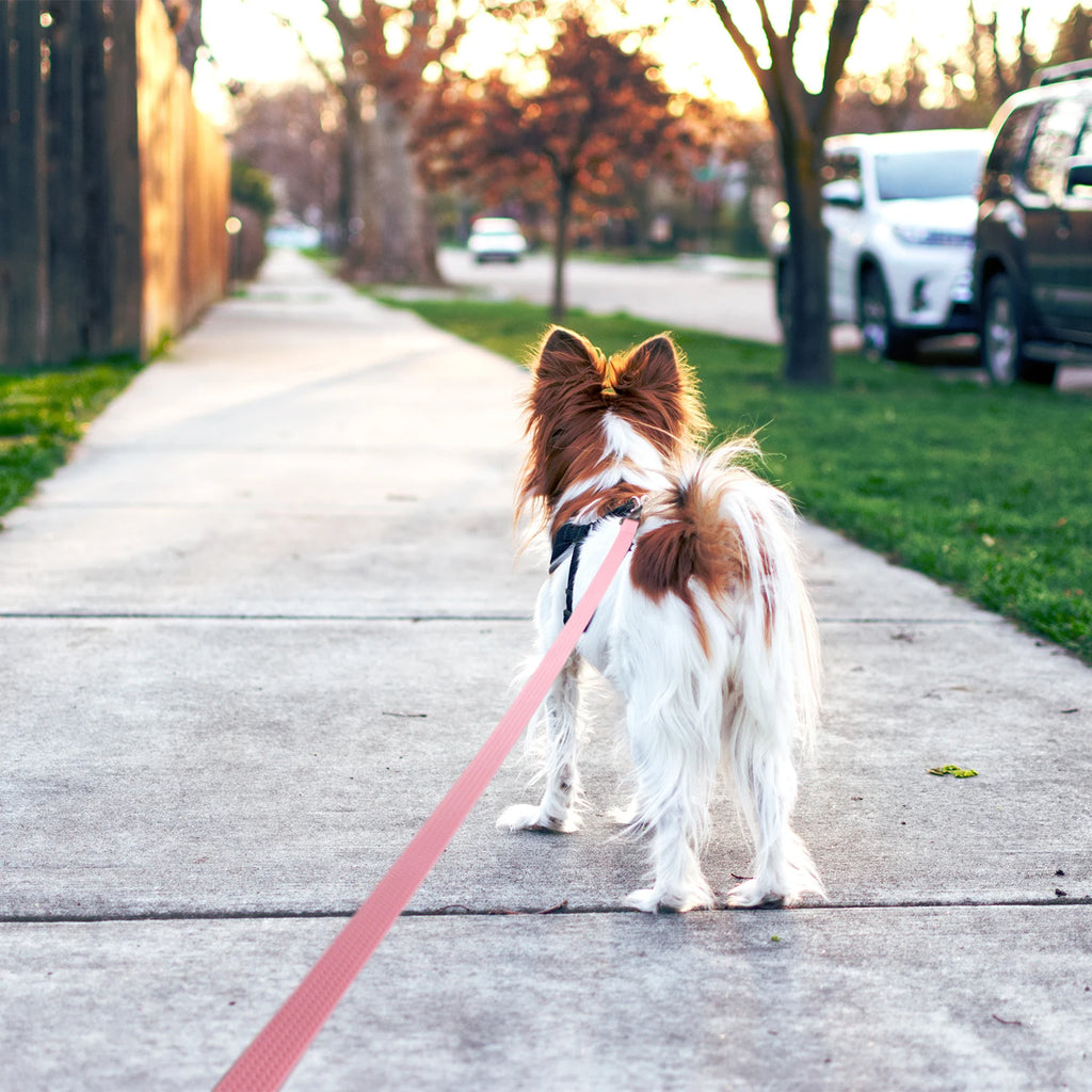 Waterproof PVC Dog Leash Long Training Leash for Large Dogs