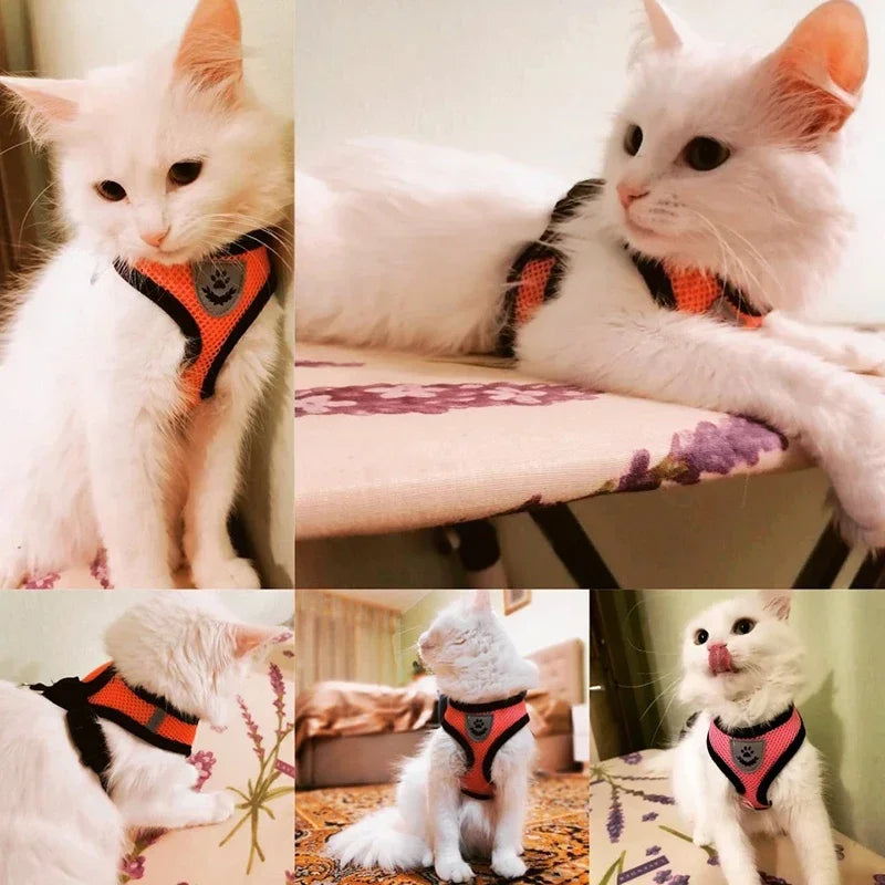 Cat Harness & Leash Set – Escape Proof Vest Harness for Cats & Small Dogs