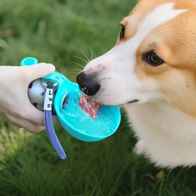 Portable Dog Water Bottle 300ml Folding Drinking Dispenser with Hook
