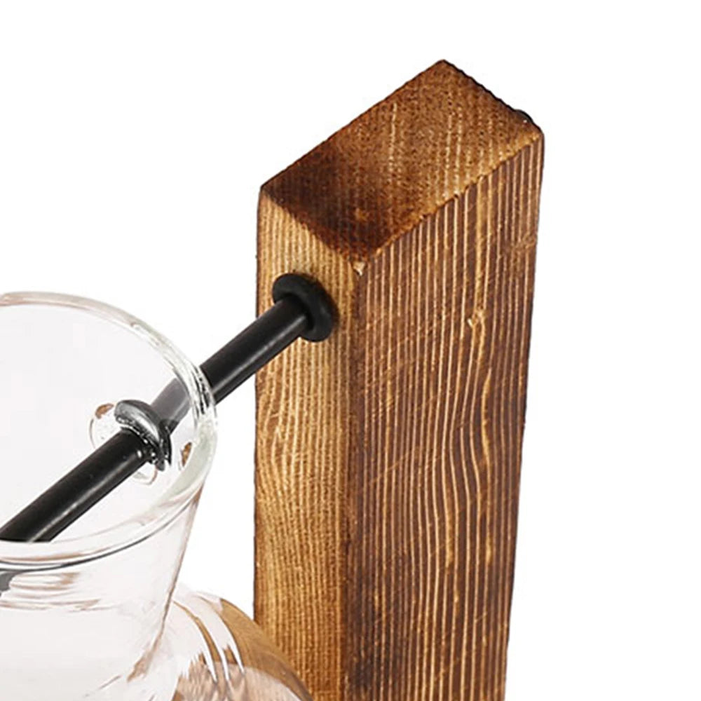 Glass Bulb Planter with Wooden Stand Hydroponic Desktop Vase Home Decor