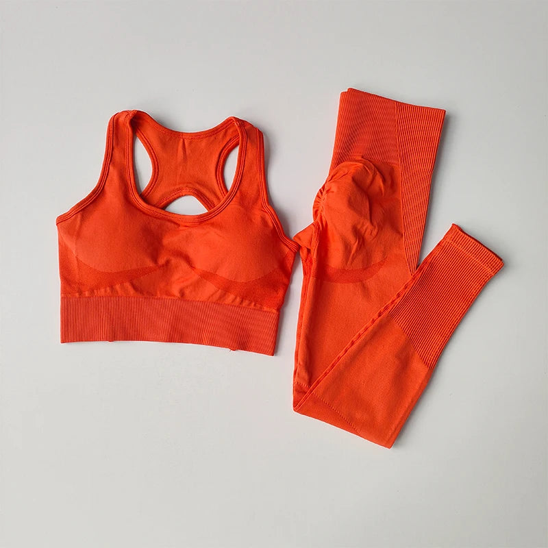Women Sports Bra Set Fitness Tank Top Leggings Yoga Workout Set Shockproof