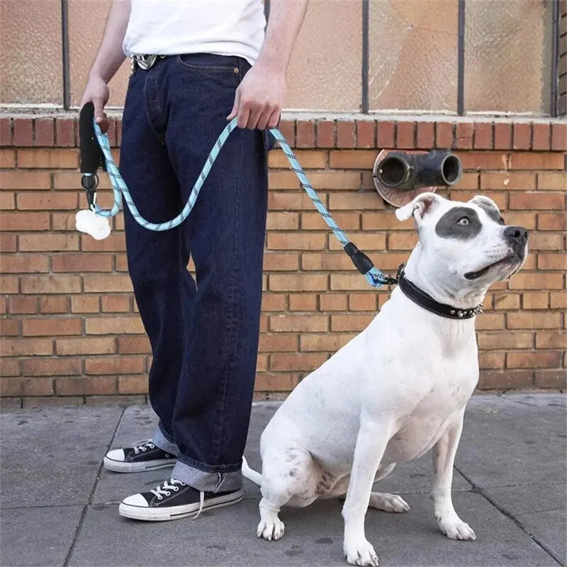 Heavy-Duty Reflective Dog Leash – Rope Lead with Soft Padded Handle
