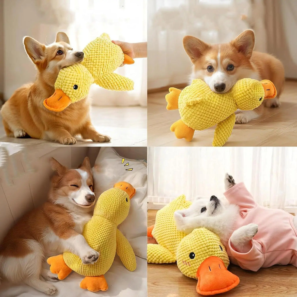 Duck Plush Dog Chew Toy with Quacking Sound