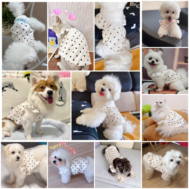 Cute Polka Dot Pet Dress Summer Puppy Skirt for Small Dogs and Cats