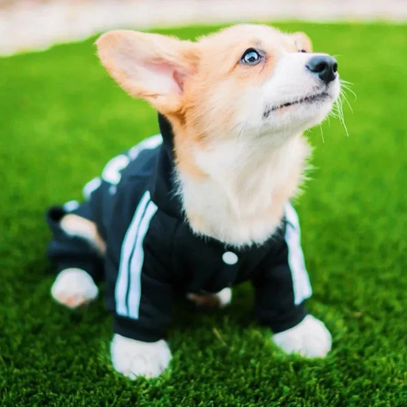 Small Dog Jumpsuit Puppy Outfit for French Bulldog Chihuahua Pug