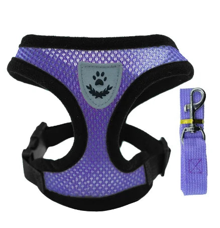 Cat Harness & Leash Set – Escape Proof Vest Harness for Cats & Small Dogs