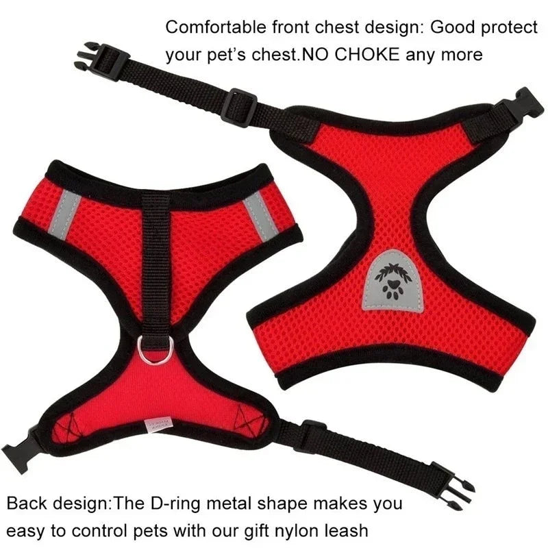 Cat Harness & Leash Set – Escape Proof Vest Harness for Cats & Small Dogs