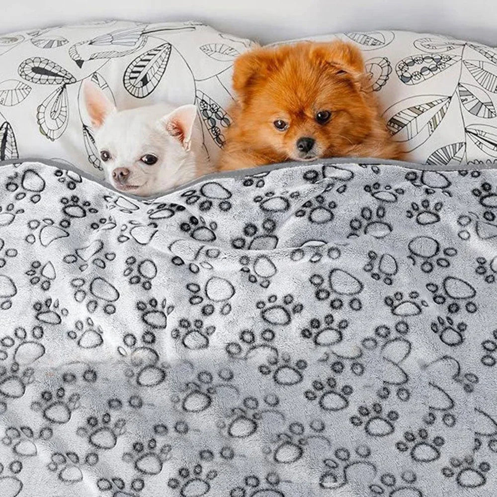 Washable Pet Blanket – Soft Fleece Dog and Cat Throw for Indoor Use