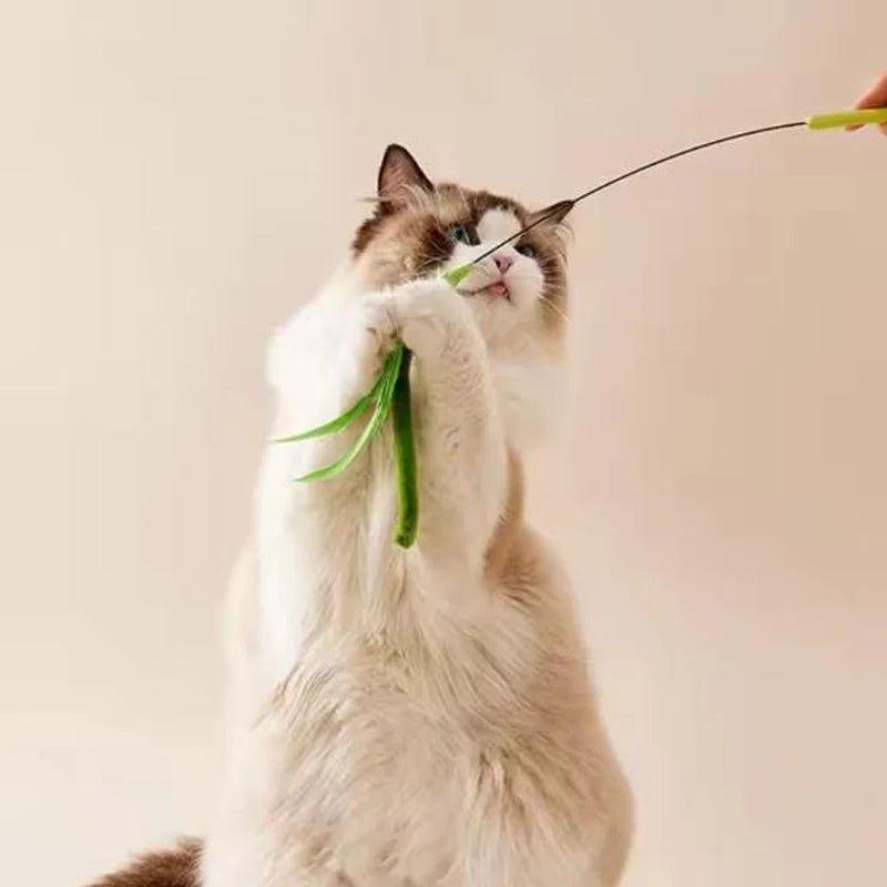 Flexible Wire Feather Cat Teaser Wand Toy