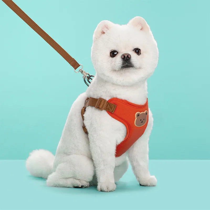 Breathable Dog Harness Leash Set for Small Medium Dogs and Cats