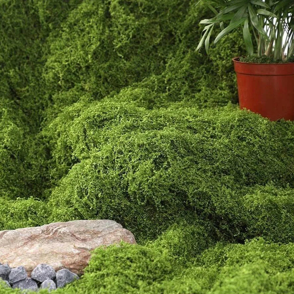 Artificial Moss Grass 1x1m Faux Green Plant Mat DIY Garden Home Decor