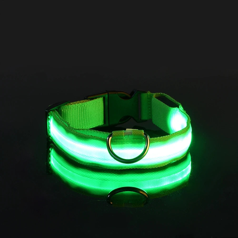 LED Dog Collar – Glow in the Dark Safety Collar for Night Walking, USB Rechargeable