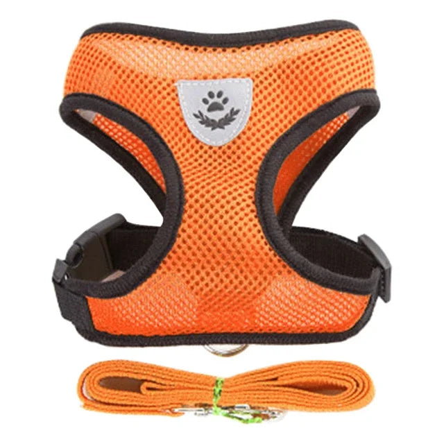 Cat Harness & Leash Set – Escape Proof Vest Harness for Cats & Small Dogs