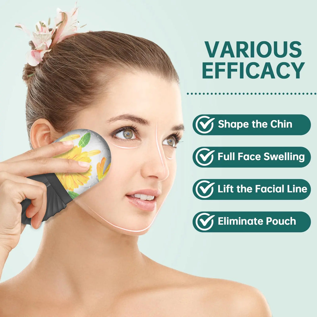 Ice Face Roller Gua Sha Skincare Tool Set