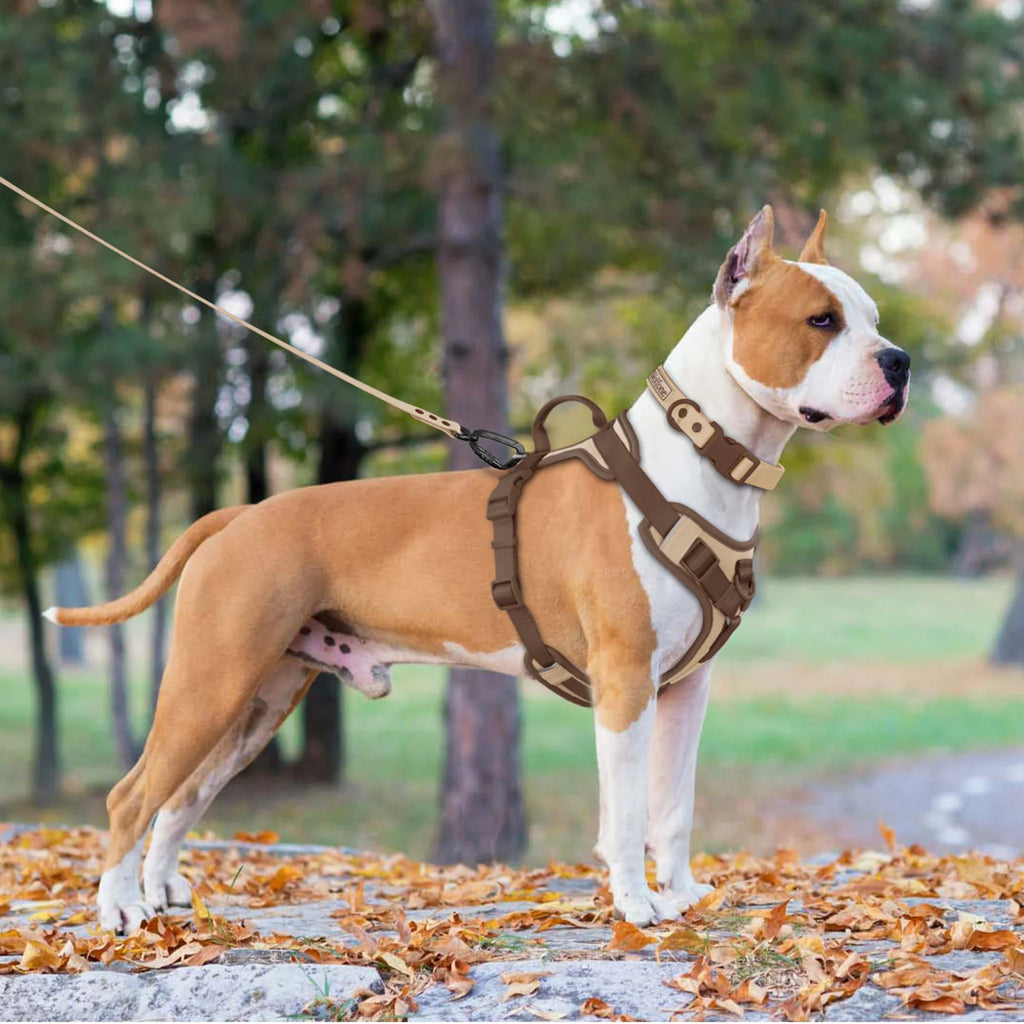 Chocolate Dog Harness Adjustable No Pull Harness for Small Large Dogs
