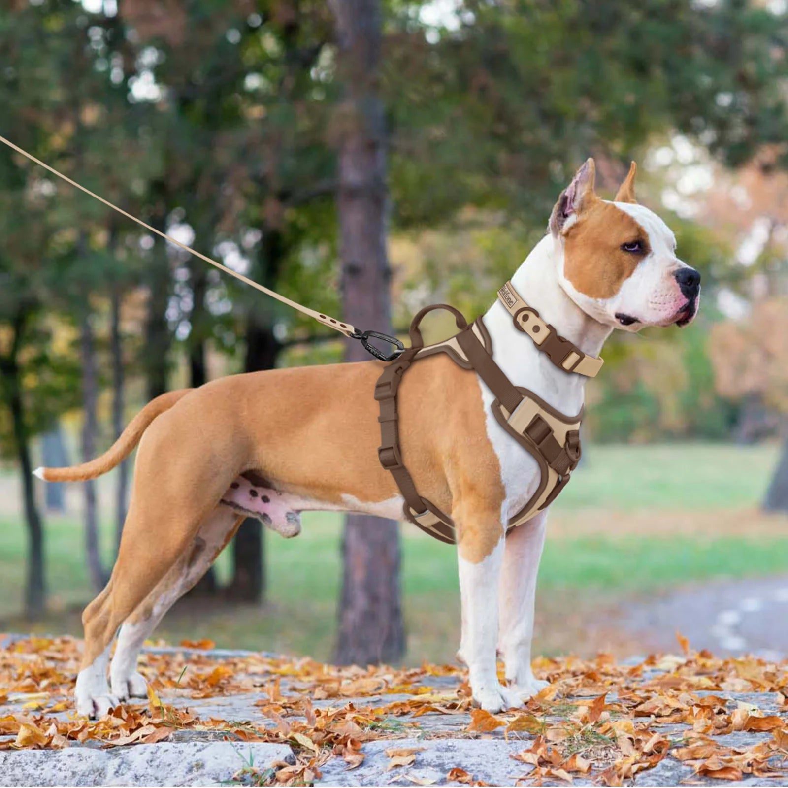 Chocolate Dog Harness Adjustable No Pull Harness for Small Large Dogs