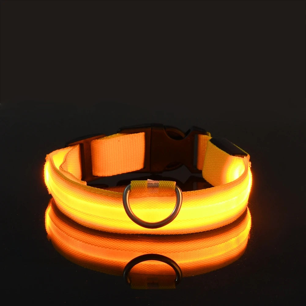LED Dog Collar – Glow in the Dark Safety Collar for Night Walking, USB Rechargeable