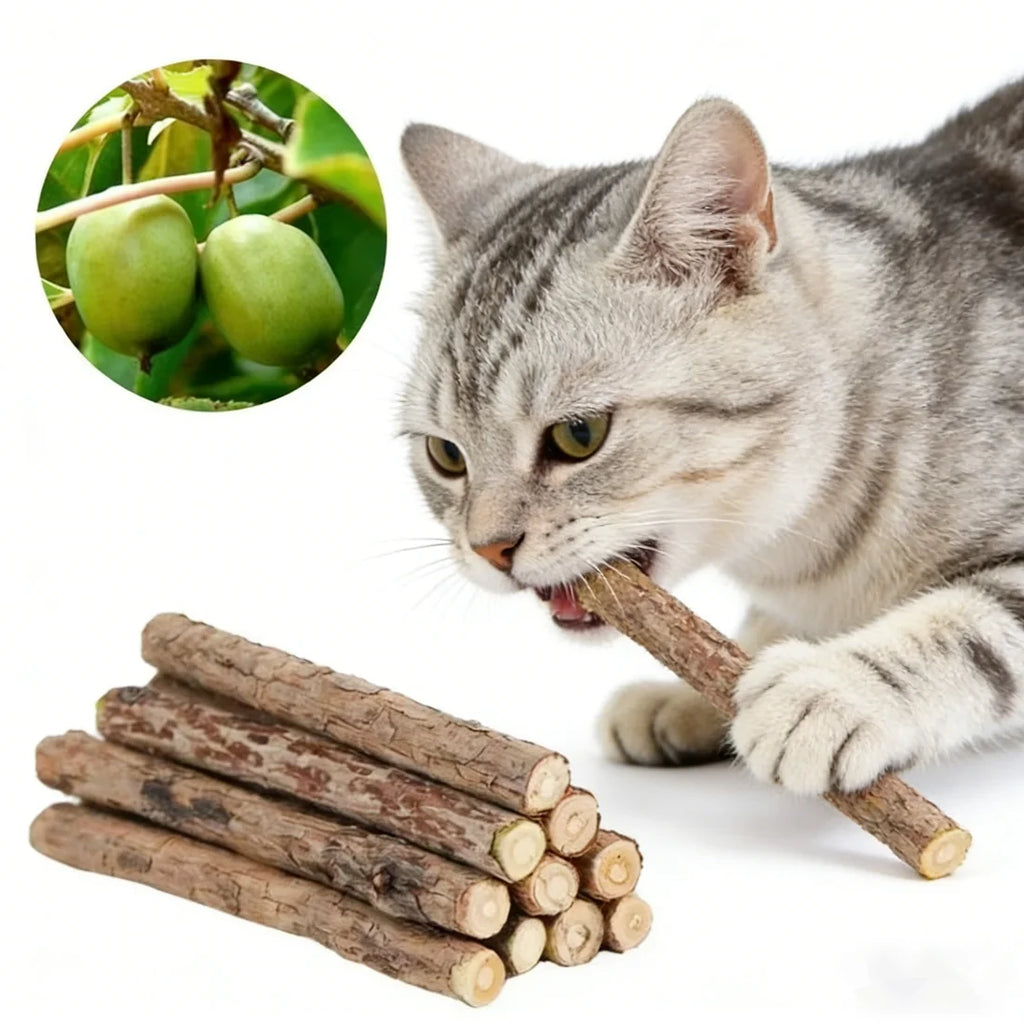 Catnip Chew Sticks 20pcs Natural Cat Toys for Teeth Cleaning